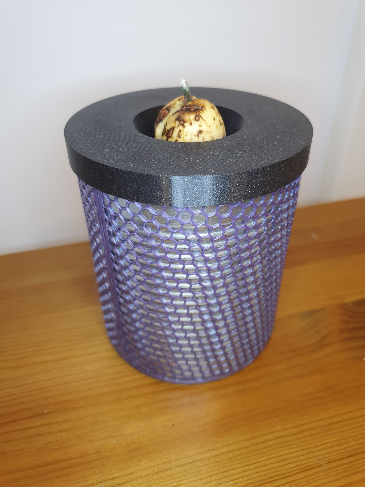 Couvercle de boîte de conserve servant de vase pour noyau d'avocat