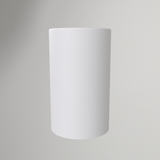 Manivelle d'enroulement de fil pour coupe-bordure Ryobi