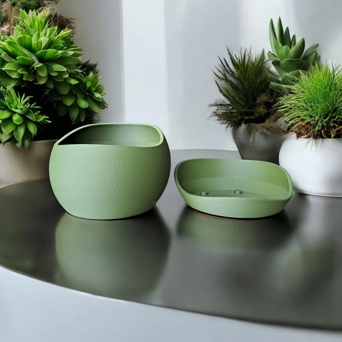 Pot de fleurs texture peau de requin avec soucoupe sur une étagère en bois avec succulente