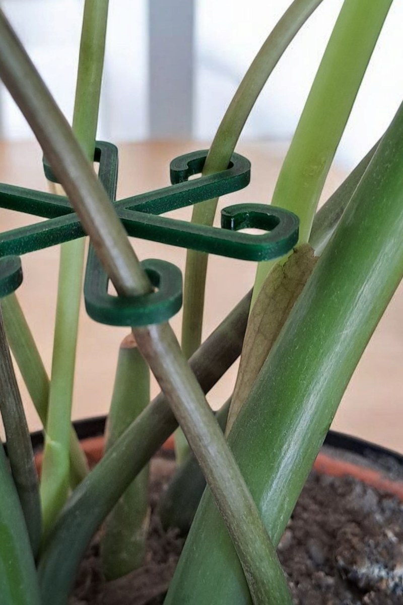 Gros plan d'un crochet tuteur minimaliste pour plantes, couleur neutre, sur fond blanc
