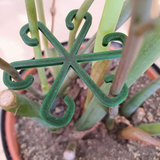 Détail d'un crochet pour plante incurvé à la surface lisse et épurée