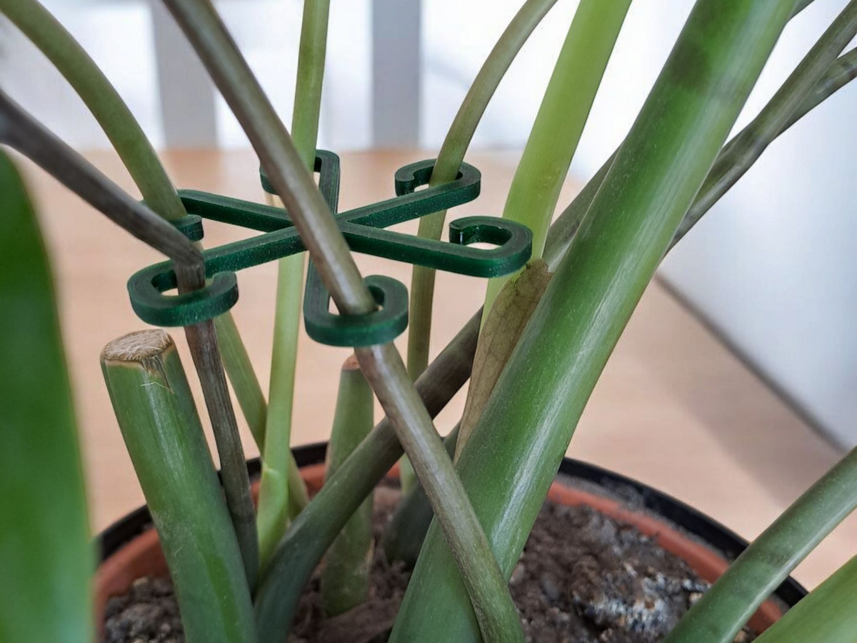 Gros plan d'un crochet tuteur minimaliste pour plantes, couleur neutre, sur fond blanc