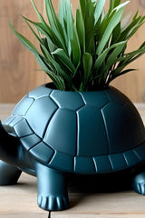 Gros plan d'un joli pot de fleurs tortue avec de la place pour de petites plantes dans la carapace