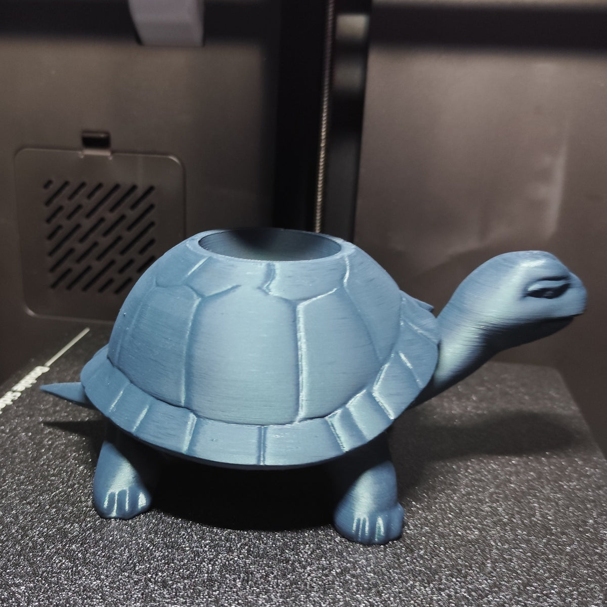 Détail de la carapace texturée et de la finition naturelle du pot de fleurs tortue