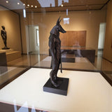 Détail de la surface polygonale de la statue d'Anubis dans la lumière