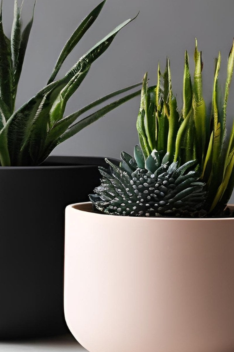Gros plan d'un pot de fleurs rond blanc minimaliste aux bords nets