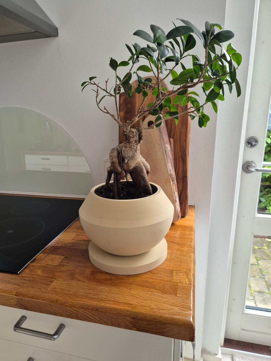 Détail d'un pot à bonsaï moderne sur pied à la surface émaillée
