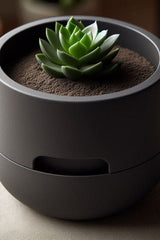 Pot auto-arrosant minimaliste pour plantes grasses à la forme géométrique, gros plan