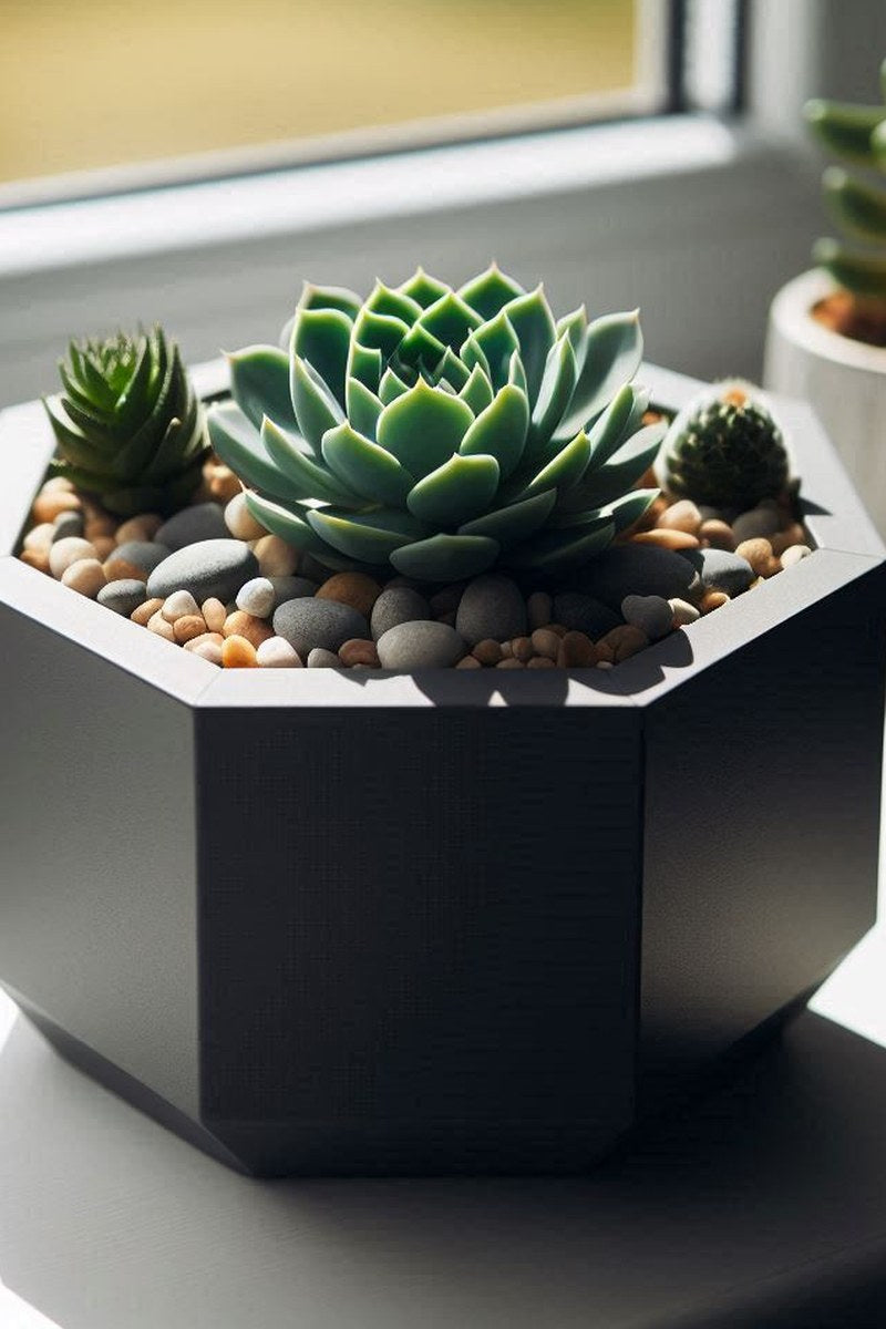 Gros plan d'un pot à plantes grasses octogonal à forme géométrique et surface lisse