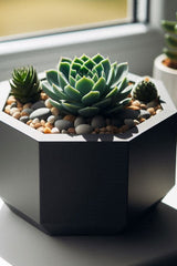 Gros plan d'un pot à plantes grasses octogonal à forme géométrique et surface lisse
