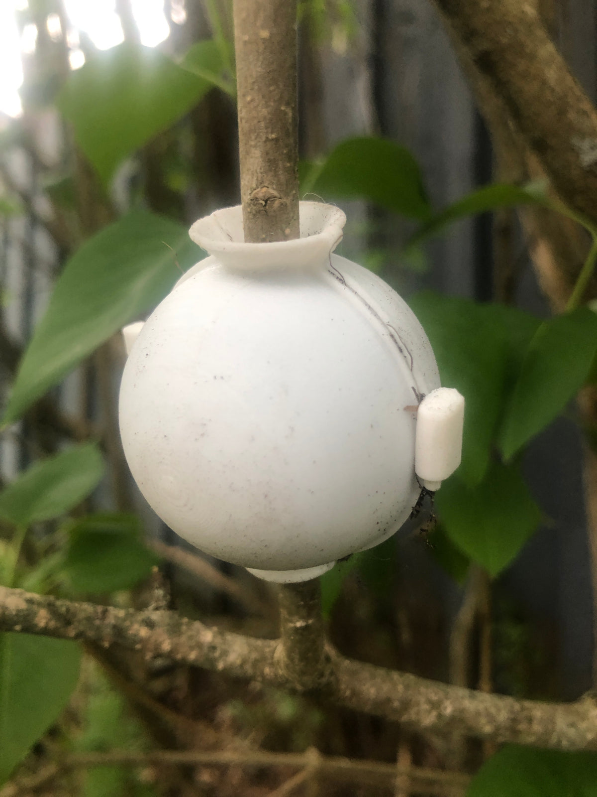Boule de marcottage pour multiplier les plantes, avec charnière et clips