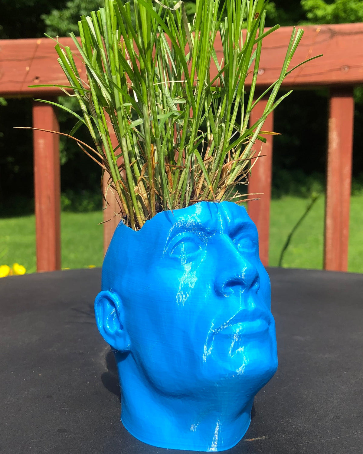Pot de fleurs The Rock à l'effigie de Dwayne Johnson