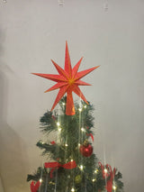 Étoile de sapin à dix branches