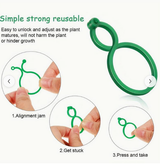 Clips pour plantes grimpantes – sûrs et discrets
