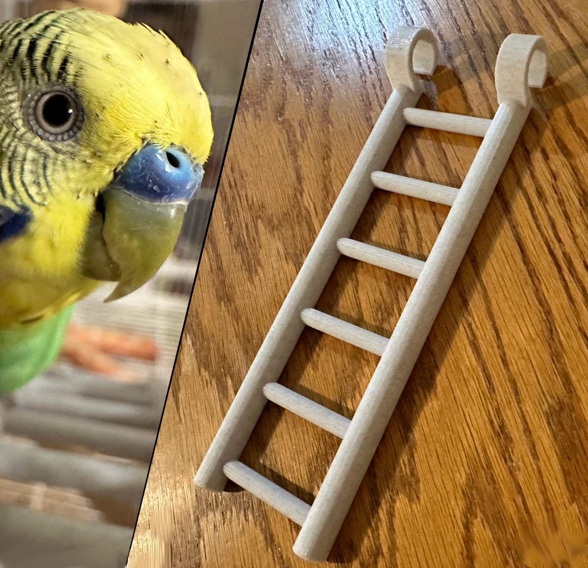 Échelle pour cage à oiseaux pour perruches