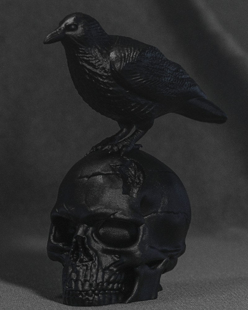 Gros plan d'une sculpture de corbeau sombre sur un crâne humain fissuré
