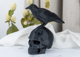 Sculpture de crâne de corbeau sur une étagère en bois foncé avec une bougie et des plantes séchées