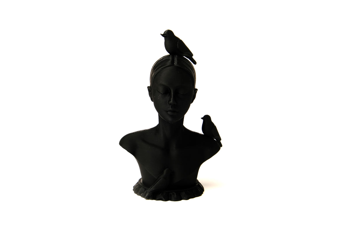 Buste de femme avec oiseaux sur une étagère minimaliste avec livres et une plante séchée