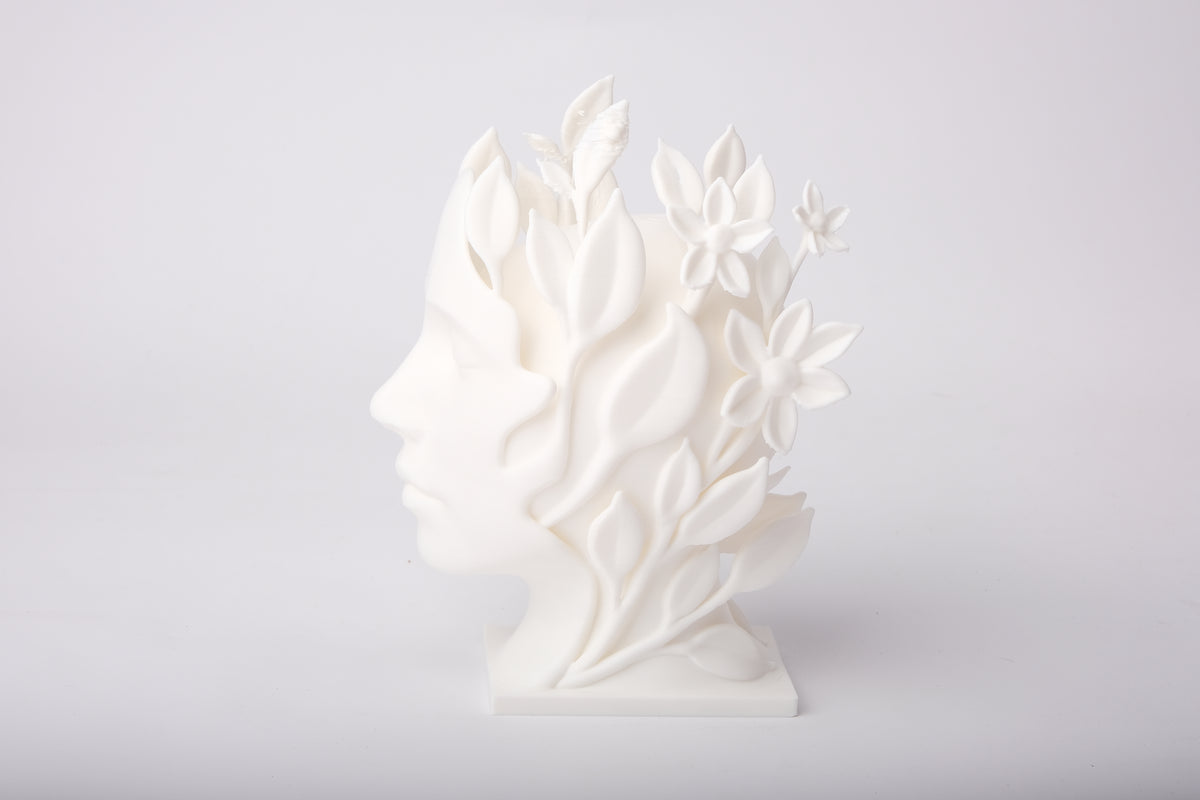 Nature Muse – sculpture de visage botanique sur une étagère minimaliste avec céramique et tiges séchées