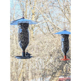 Mangeoire à oiseaux pour bouteille de soda – avec large base pour le jardin